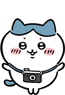 Chiikawa Character